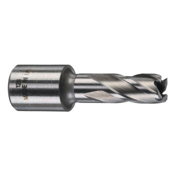 Milwaukee Fræsere HSS 12x25 mm 4932371740