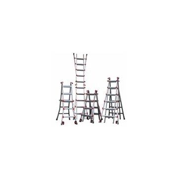 Jumbo Giant Multistige Classic-Velo 6/11 trin JUM41LG103