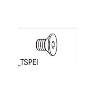CMT Skrue M6x8 TSPEI 990.083.00